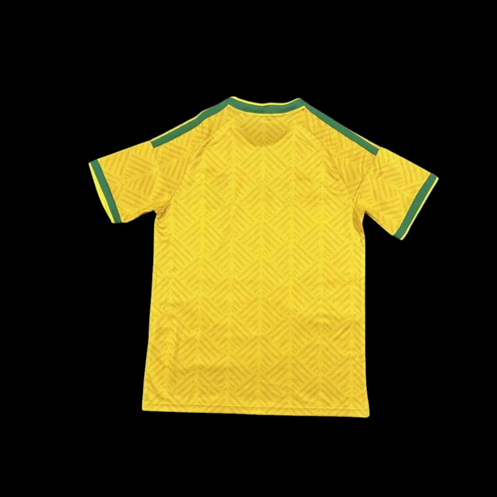 Afrique du sud Maillot Domicile 26/27