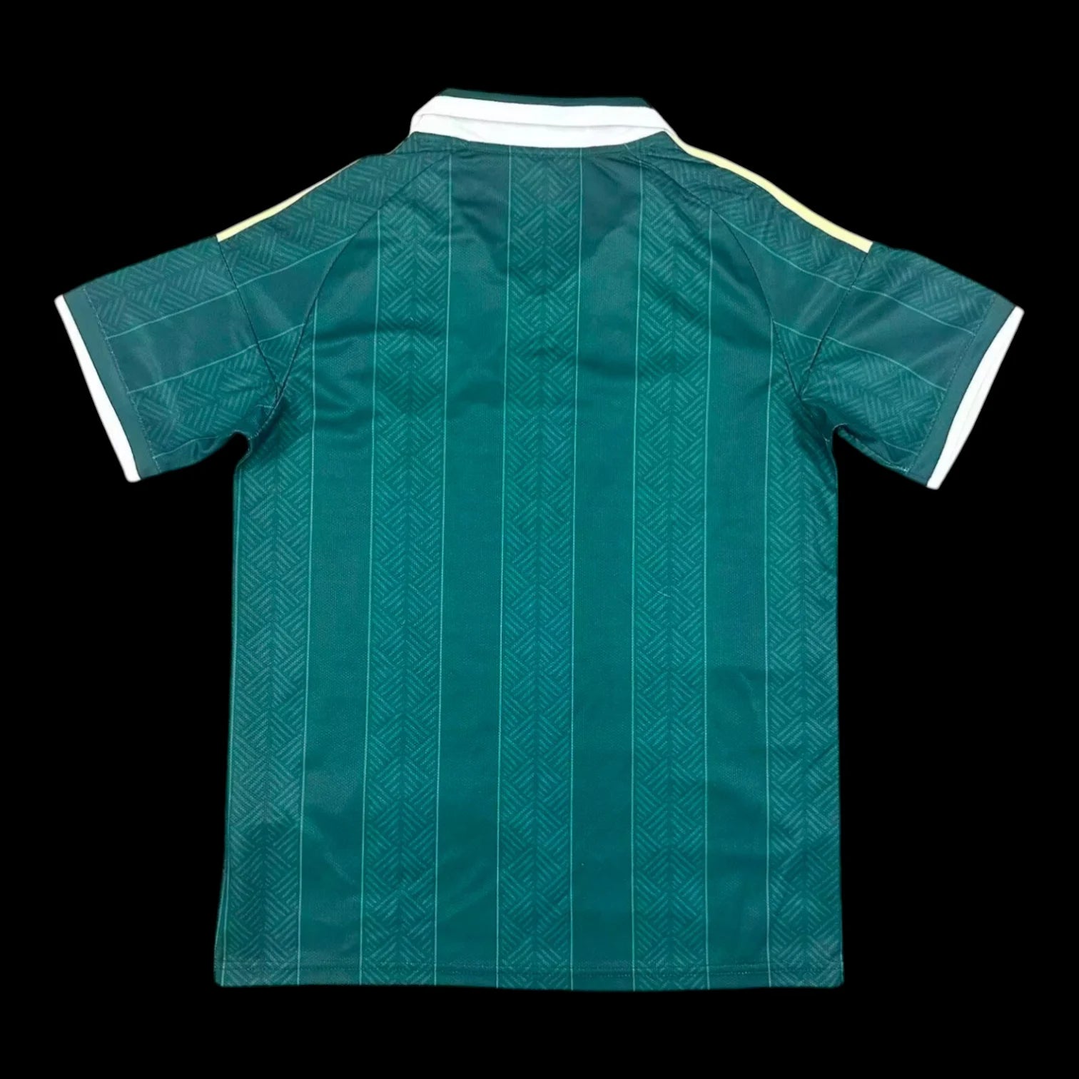 Afrique du sud Maillot Extérieur 26/27
