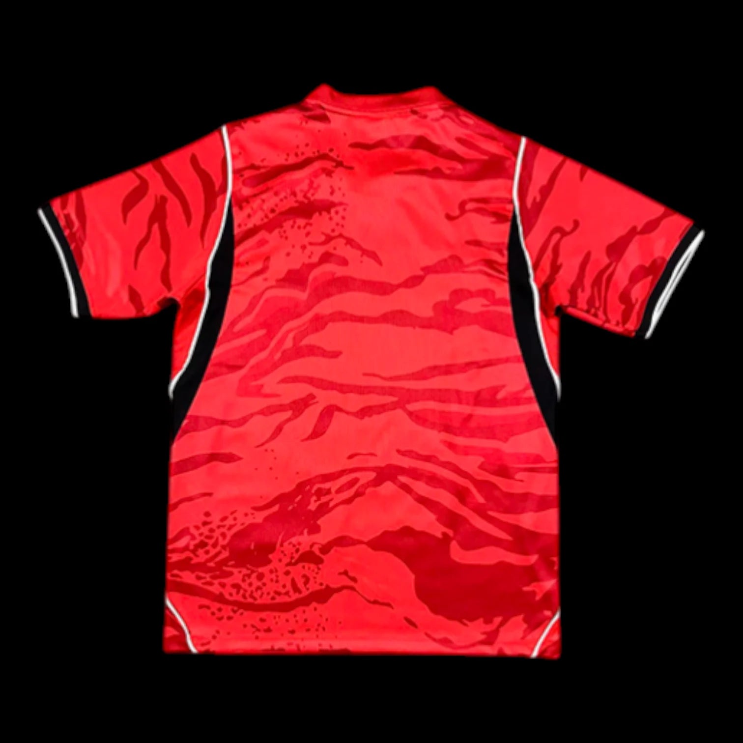 Corée du Sud Maillot Domicile 26/27